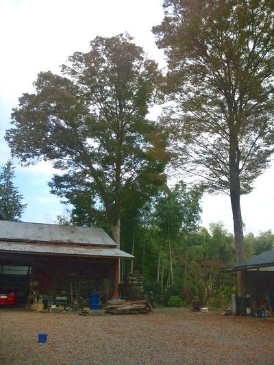 1000円グルメの日々in宇都宮