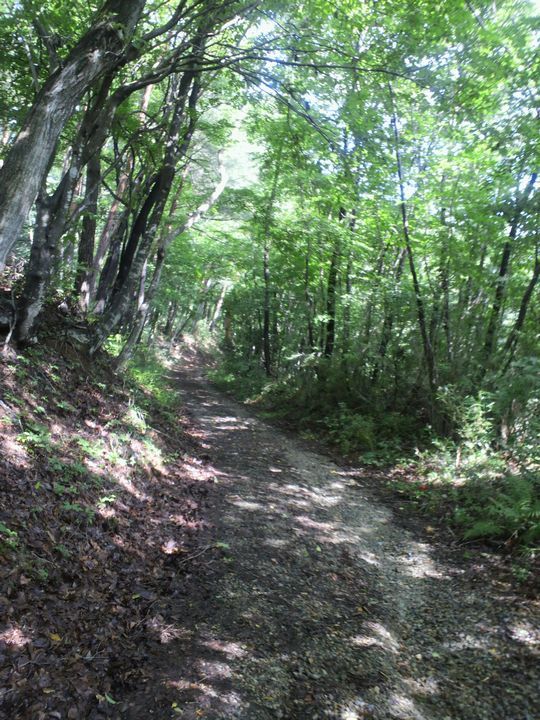 1000円グルメの旅　from 宇都宮　to 47都道府県