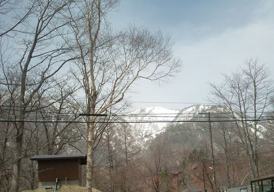 1000円グルメの日々in宇都宮