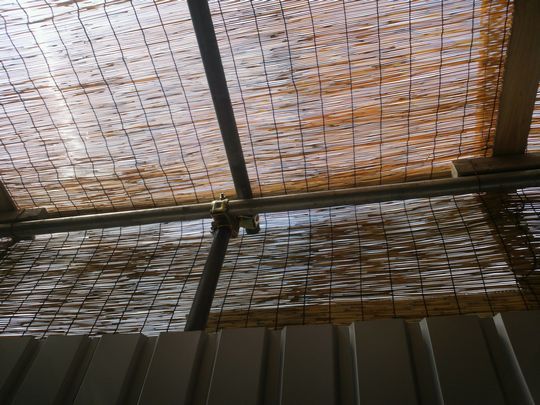 1000円グルメの日々in宇都宮