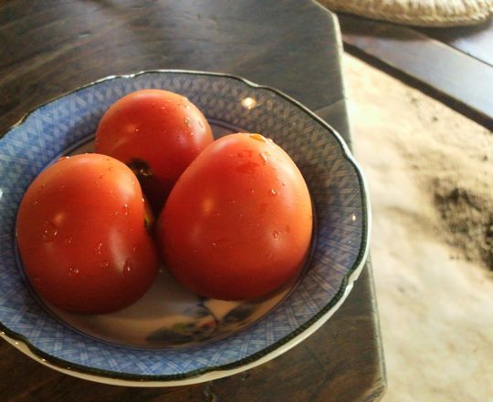 1000円グルメの旅 from 宇都宮 to 47都道府県