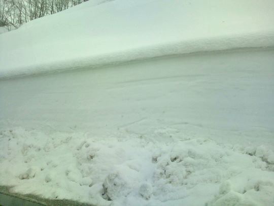 1000円グルメの日々in宇都宮