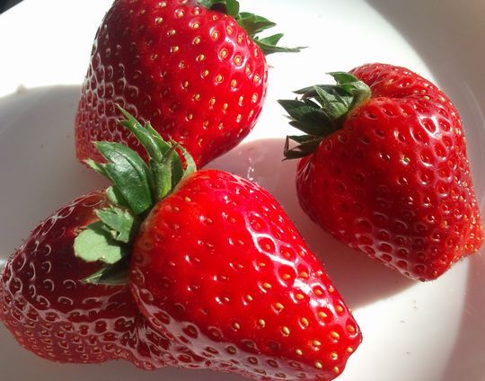 1000円グルメの日々in宇都宮