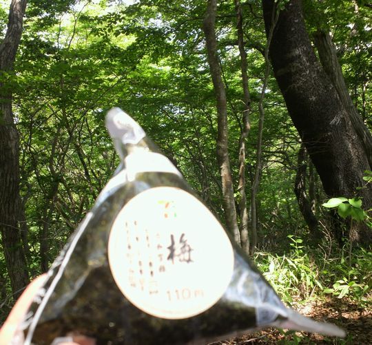 1000円グルメの旅 from 宇都宮 to 47都道府県