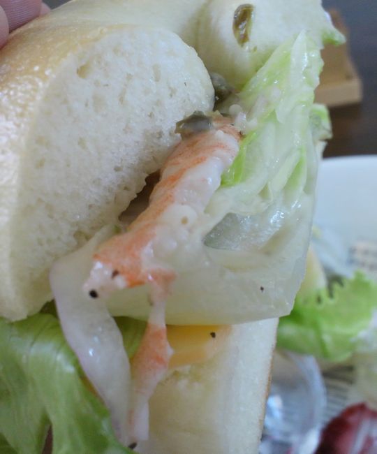 1000円グルメの旅　from 宇都宮　to 47都道府県