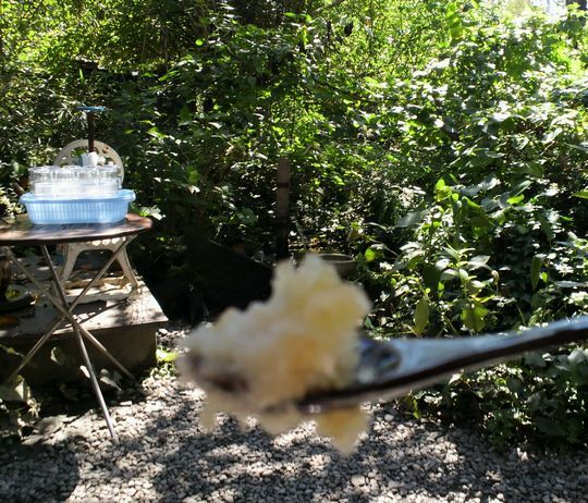 1000円グルメの旅　from 宇都宮　to 47都道府県