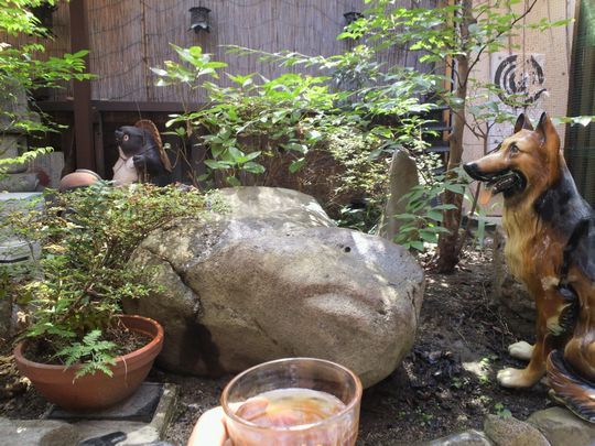 1000円グルメの旅 from 宇都宮 to 47都道府県