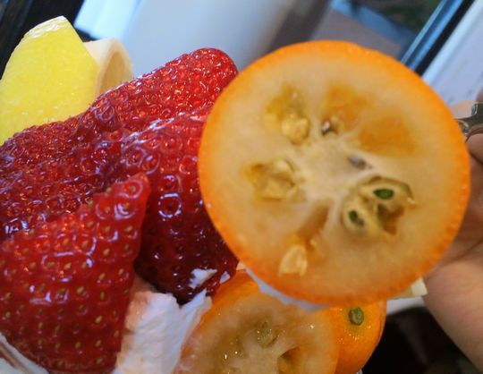 1000円グルメの旅 from 宇都宮 to 47都道府県