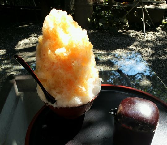 1000円グルメの旅　from 宇都宮　to 47都道府県