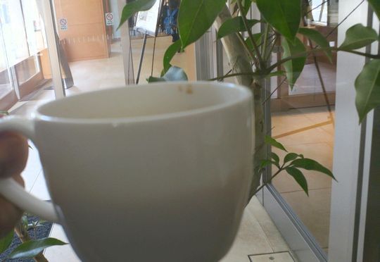 1000円グルメの日々in宇都宮