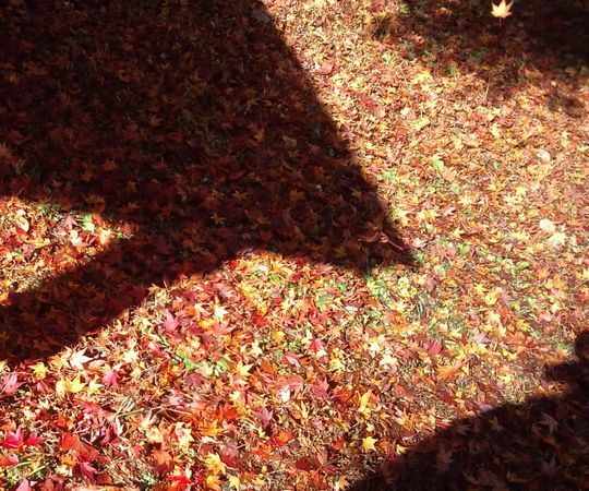 1000円グルメの日々in宇都宮