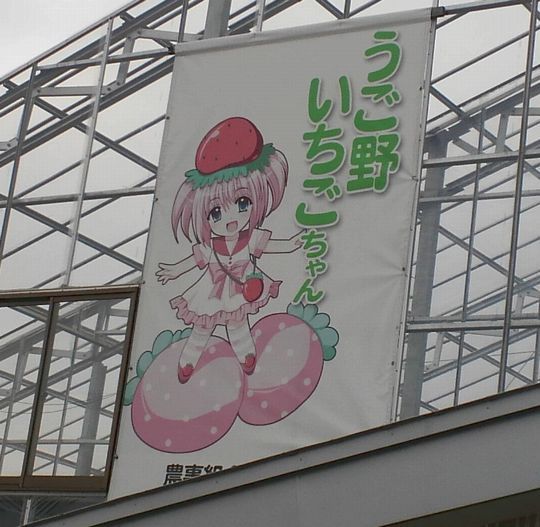 1000円グルメの旅　from 宇都宮　to 47都道府県