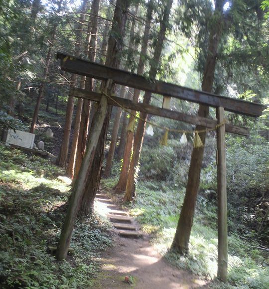 1000円グルメの旅　from 宇都宮　to 47都道府県