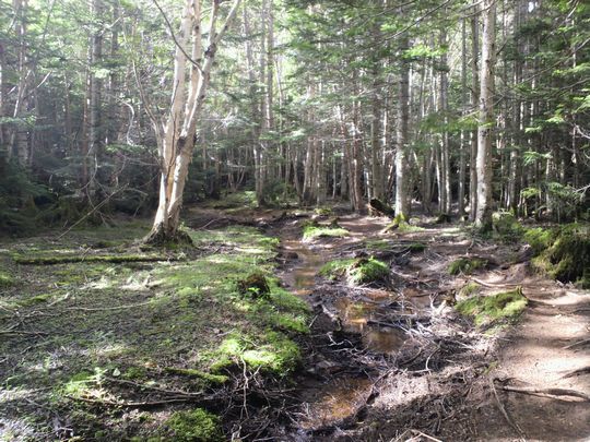 1000円グルメの旅 from 宇都宮 to 47都道府県