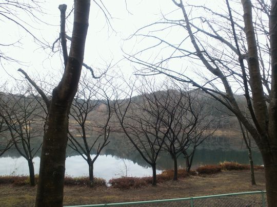 1000円グルメの旅　from 宇都宮　to 47都道府県