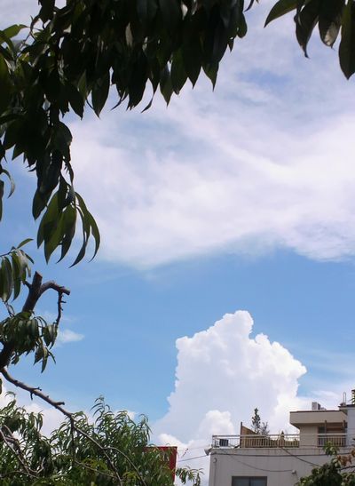 1000円グルメの日々in宇都宮