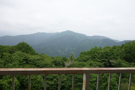 DSC01221