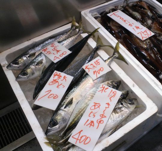 1000円グルメの旅 from 宇都宮 to 47都道府県