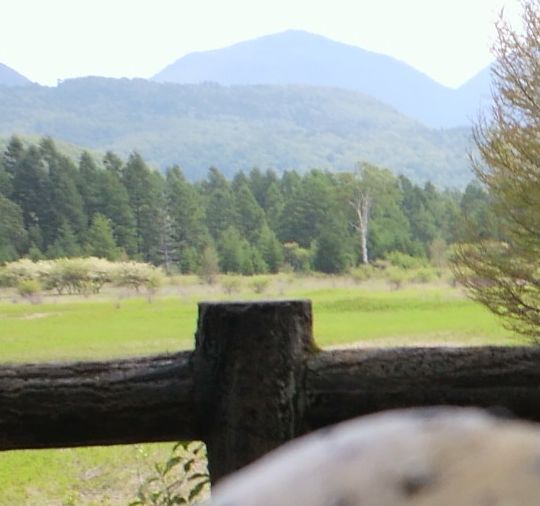 1000円グルメの旅　from 宇都宮　to 47都道府県