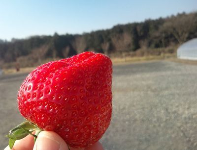 1000円グルメの日々in宇都宮