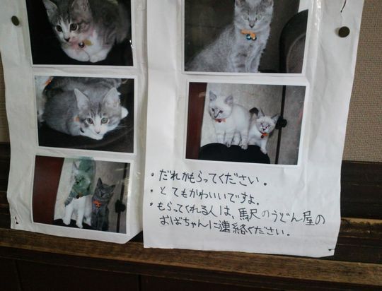 1000円グルメの旅 from 宇都宮 to 47都道府県