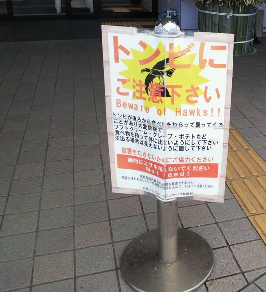 1000円グルメの旅 from 宇都宮 to 47都道府県