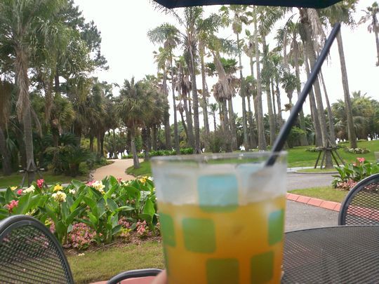 1000円グルメの旅　from 宇都宮　to 47都道府県