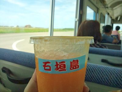 1000円グルメの日々in宇都宮