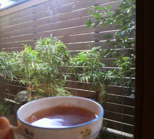 1000円グルメの旅 from 宇都宮 to 47都道府県