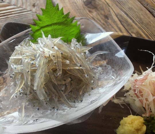 1000円グルメの日々in宇都宮