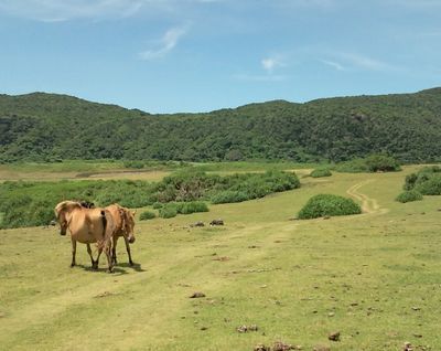 1000円グルメの日々in宇都宮