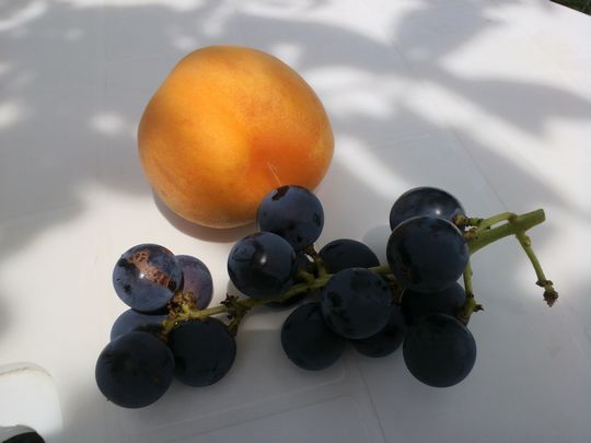 1000円グルメの日々in宇都宮