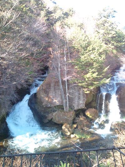 1000円グルメの日々in宇都宮