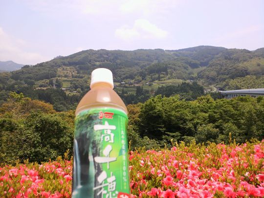 1000円グルメの旅 from 宇都宮 to 47都道府県