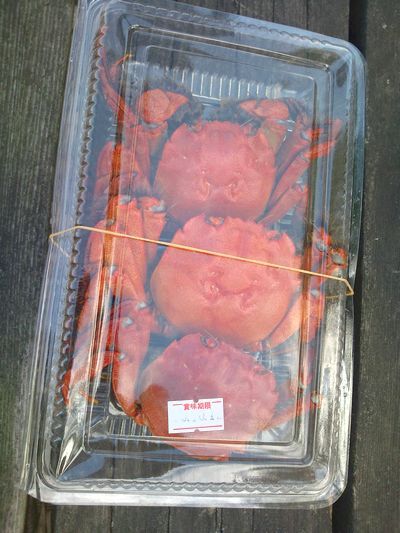 1000円グルメの日々in宇都宮