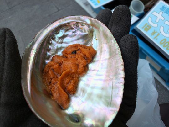 1000円グルメの旅　from 宇都宮　to 47都道府県