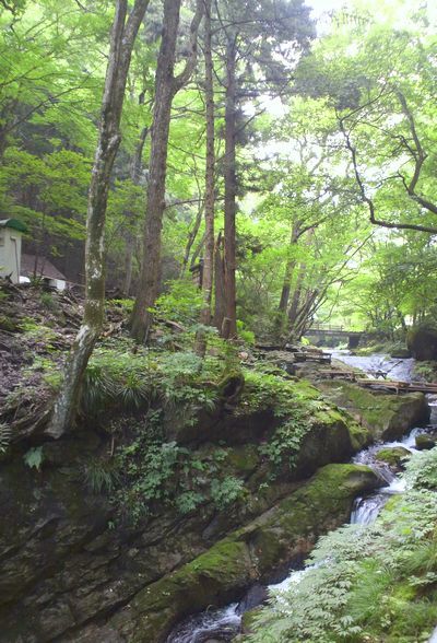 1000円グルメの日々in宇都宮