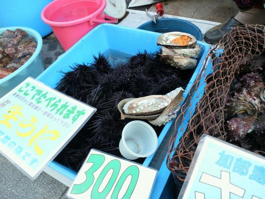 1000円グルメの旅　from 宇都宮　to 47都道府県