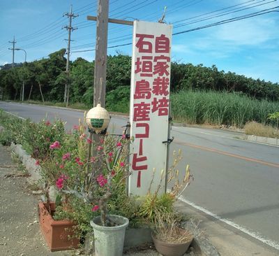 1000円グルメの日々in宇都宮