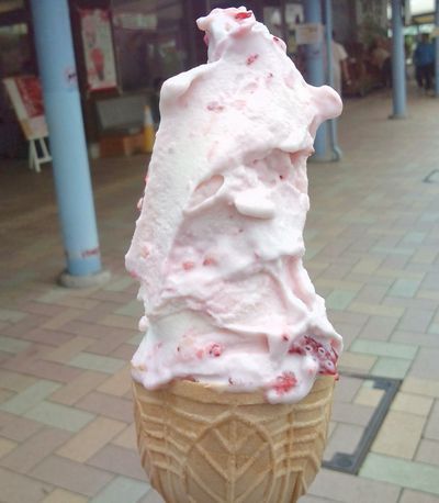 1000円グルメの日々in宇都宮