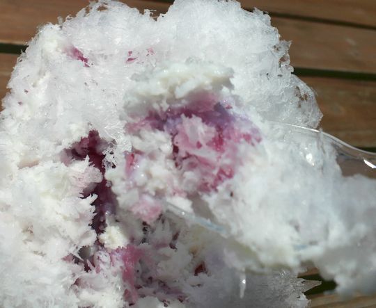 1000円グルメの旅　from 宇都宮　to 47都道府県