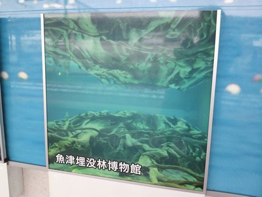 1000円グルメの旅 from 宇都宮 to 47都道府県