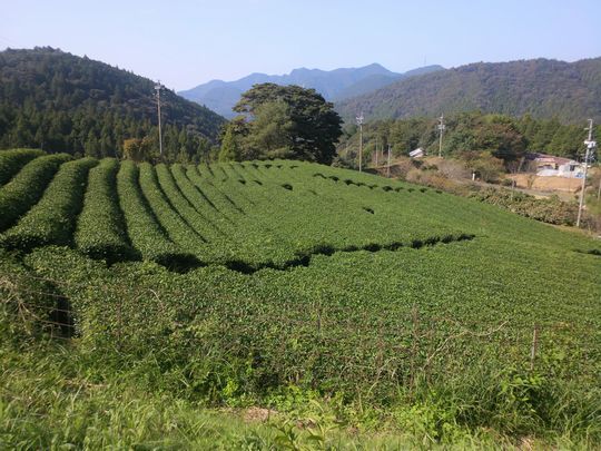 1000円グルメの旅 from 宇都宮 to 47都道府県