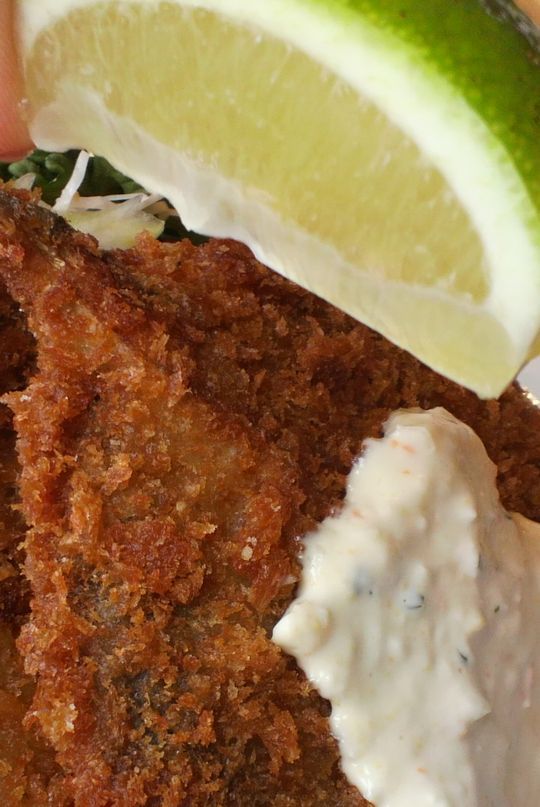 1000円グルメの旅 from 宇都宮 to 47都道府県