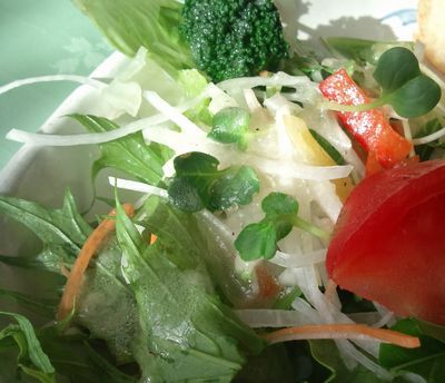 1000円グルメの日々in宇都宮