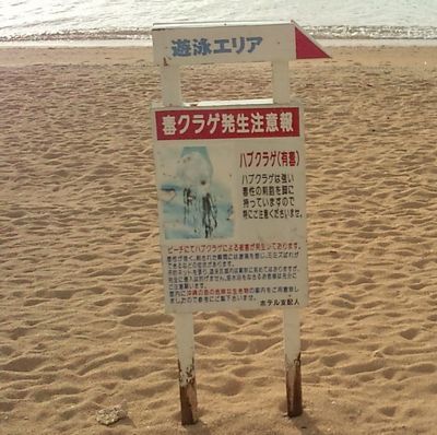 1000円グルメの日々in宇都宮