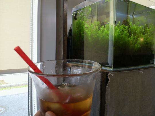 1000円グルメの旅　from 宇都宮　to 47都道府県