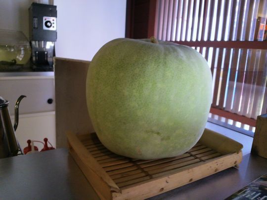 1000円グルメの旅 from 宇都宮 to 47都道府県