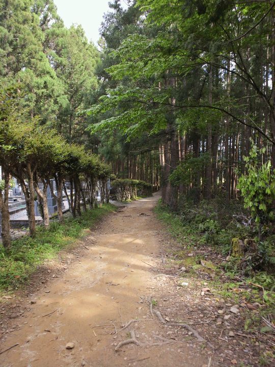 1000円グルメの旅 from 宇都宮 to 47都道府県