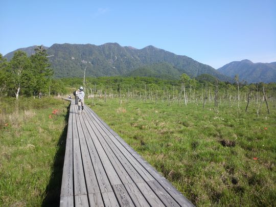1000円グルメの旅　from 宇都宮　to 47都道府県